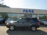 2010 Ford Escape Limited V6 4WD