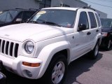 2004 Jeep Liberty Stone White