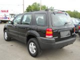 2004 Ford Escape XLS V6 Exterior