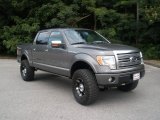 2009 Ford F150 Platinum SuperCrew 4x4 Data, Info and Specs