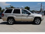 Light Pewter Metallic Jeep Grand Cherokee in 2004