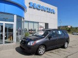 2008 Urban Gray Kia Rondo LX V6 #52200758