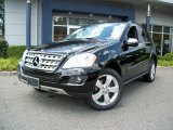 2010 Mercedes-Benz ML 350 4Matic