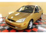 Jackpot Gold Metallic Ford Focus in 2001