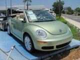2008 Volkswagen New Beetle SE Convertible