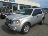 2008 Silver Metallic Ford Escape XLT 4WD #52255965