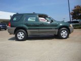 Dark Highland Green Metallic Ford Escape in 2001