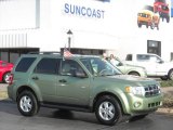 2008 Kiwi Green Metallic Ford Escape XLT V6 #5222380