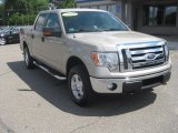 2009 Ford F150 XLT SuperCrew 4x4