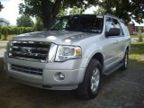 2010 Ford Expedition XLT 4x4
