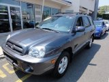 2006 Steel Blue Hyundai Santa Fe GLS 4WD #52454137