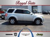 2009 Brilliant Silver Metallic Ford Escape Limited V6 #52547264