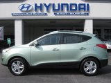 2012 Kiwi Green Hyundai Tucson GLS #52547301