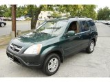 2003 Clover Green Pearl Honda CR-V EX 4WD #52598304