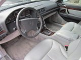 1999 Mercedes-Benz S 420 Sedan Ash Interior