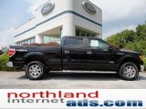 2011 Ebony Black Ford F150 XLT SuperCrew 4x4 #52658562