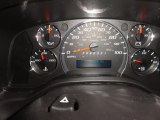 2008 Chevrolet Express 1500 Cargo Van Gauges