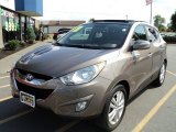 2011 Chai Bronze Hyundai Tucson Limited #52688228