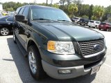 Aspen Green Metallic Ford Expedition in 2003