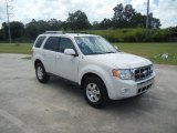 2010 White Suede Ford Escape Limited V6 #52688169