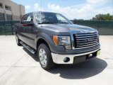 2011 Sterling Grey Metallic Ford F150 Texas Edition SuperCrew #52724825