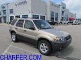 2007 Dune Pearl Metallic Ford Escape XLT V6 4WD #52724432