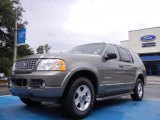2002 Mineral Grey Metallic Ford Explorer Limited 4x4 #52724661
