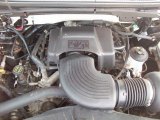 2003 Ford F150 XL Regular Cab 5.4 Liter SOHC 16V Triton V8 Engine