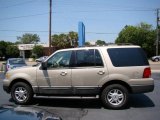 Pueblo Gold Metallic Ford Expedition in 2006