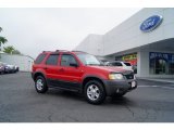 2002 Bright Red Ford Escape XLT V6 4WD #52817128