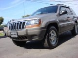 2000 Silverstone Metallic Jeep Grand Cherokee Laredo 4x4 #52816698