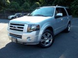 2010 Ingot Silver Metallic Ford Expedition Limited 4x4 #52809641
