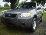 2007 Tungsten Grey Metallic Ford Escape XLS 4WD #52971752