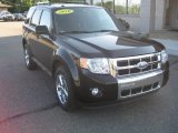 2010 Black Ford Escape Limited 4WD #52971813