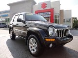 2004 Black Clearcoat Jeep Liberty Limited 4x4 #53005267