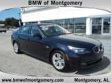 2009 Monaco Blue Metallic BMW 5 Series 528i Sedan #53005359