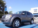 2012 Sterling Gray Metallic Ford Escape XLT #53064012
