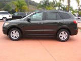 Black Forest Green Hyundai Santa Fe in 2012