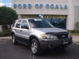 2005 Silver Metallic Ford Escape XLT V6 #437954