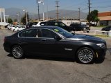 Dark Graphite Metallic BMW 7 Series in 2011