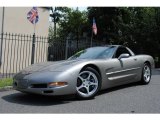 1998 Light Pewter Metallic Chevrolet Corvette Coupe #53117179