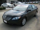 2008 Black Toyota Camry Hybrid #53117455