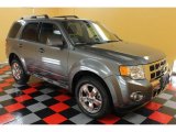 2009 Sterling Grey Metallic Ford Escape Limited V6 4WD #53171872