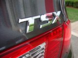 2009 Acura TSX Sedan Marks and Logos