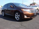 2009 Sunset Bronze Mica Toyota Venza V6 AWD #53171450