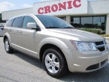 2009 Dodge Journey SXT