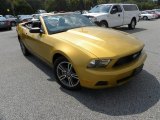 2010 Sunset Gold Metallic Ford Mustang V6 Premium Convertible #53247595