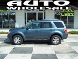 2011 Steel Blue Metallic Ford Escape Limited V6 #53280018