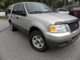 2005 Silver Birch Metallic Ford Expedition XLS #53279907