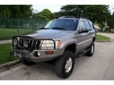 1999 Jeep Grand Cherokee Bright Platinum Metallic